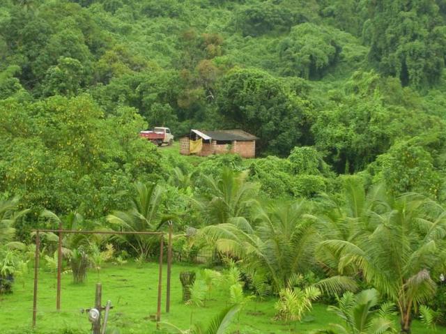 Typical village in Konkan